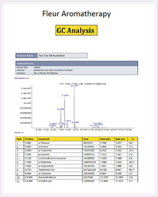 GC分析サンプル ラベンダー